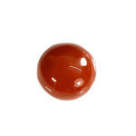 Natural Japanese Coral 11.76 Carat (12.94 Ratti) Moonga
