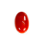 Natural Japanese Coral 8.29 Carat (9.12 Ratti) Moonga