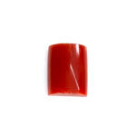 Natural Japanese Coral 5.82 Carat (6.40 Ratti) Moonga - Image 3