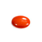 Natural Japanese Coral 7.54 Carat (8.29 Ratti) Moonga - Image 3