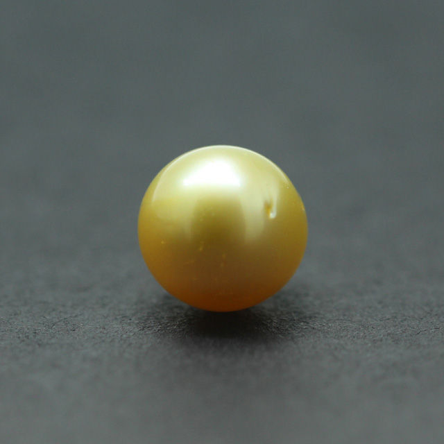 PRL151 (1) South Sea Golden Pearl (Moti) 7.54 Carat (8.29 Ratti) - Image 1