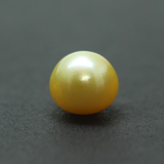 PRL158 (1) South Sea Golden Pearl (Moti) 7.12 Carat (7.83 Ratti) - Image 1