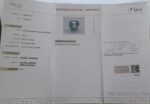 Bi Color Sapphire (Pitambri) 8.67 Carat (9.54 Ratti) - Image 2