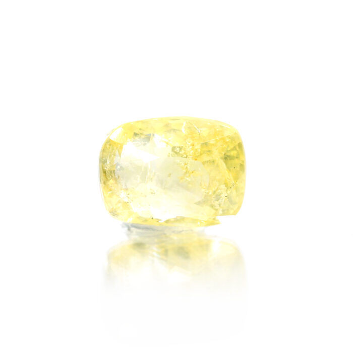 GAGAYS488 (2) GAYS488