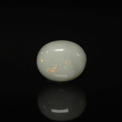 GAOP214