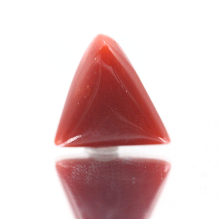 GACL206 (3) Red Coral 6.45 Carat (Moonga 7.10 Ratti) - Image 3