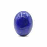 GALP95