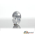 Real Zircon 7.99 Carat (8.78 Ratti)