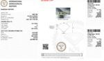 IGI Certified Natural Diamond 0.51 Carat G VVS1 - Image 2
