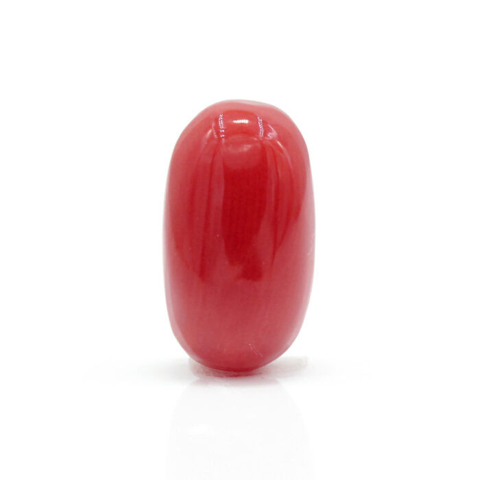 GACL256 (1) Red Coral 2.75 Carat (Moonga 3.03 Ratti) - Image 1