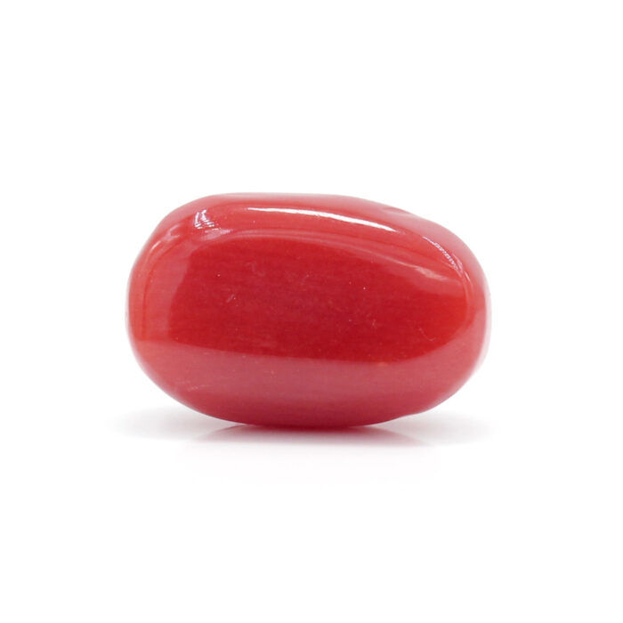 Red Coral 2.40 Carat (Moonga 2.64 Ratti) - Image 3