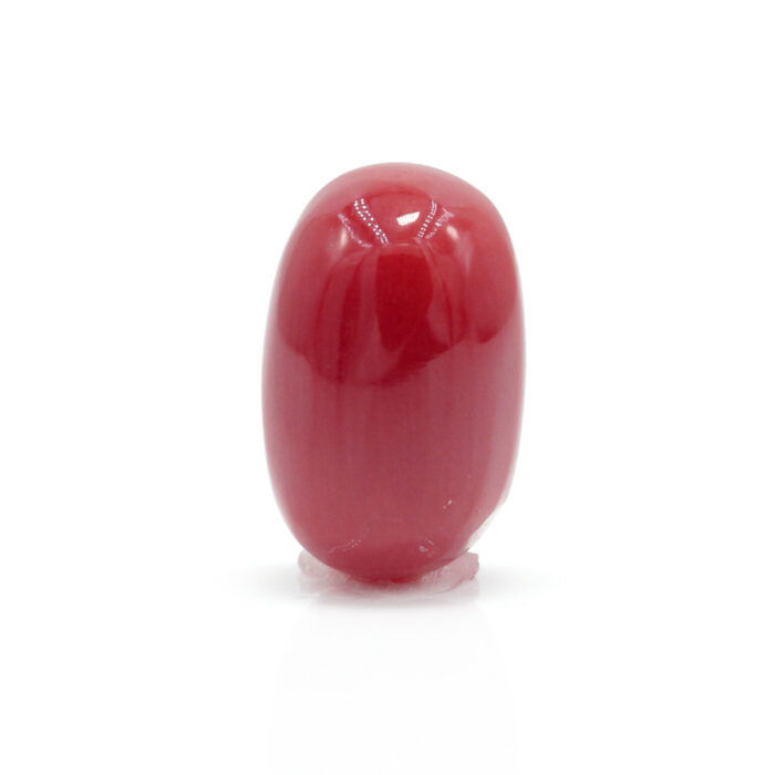 Red Coral 2.74 Carat (Moonga 3.01 Ratti) - Image 1