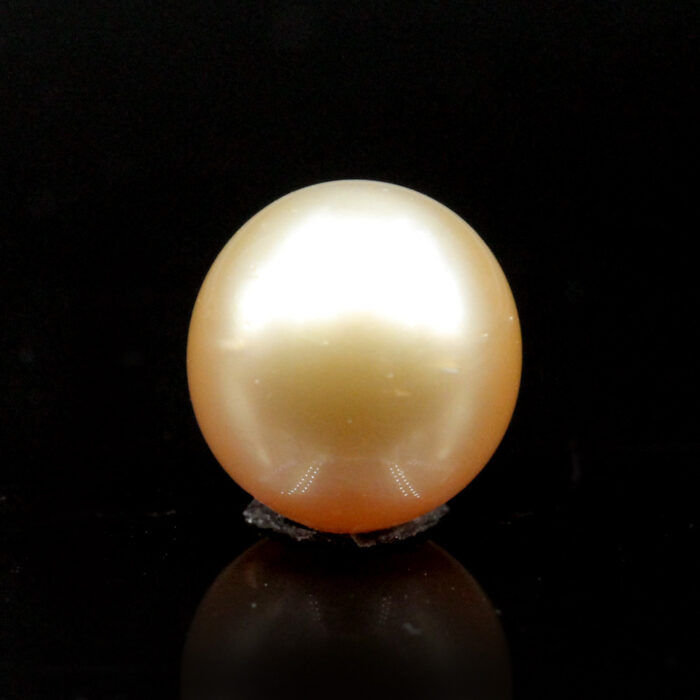 South Sea Pearl 5.51 Carat (Golden Moti 6.06 Ratti) - Image 1
