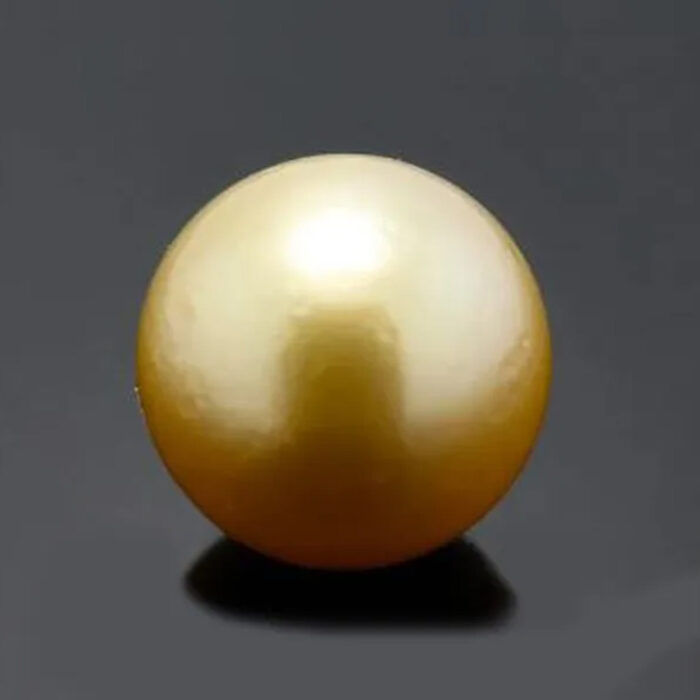 PRL44 Golden South Sea Pearl (Moti) 7.64 Carat (8.40 Ratti) - Image 1