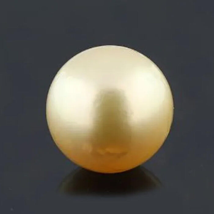 PRL50 Golden South Sea Pearl (Moti) 12.05 Carat (13.25 Ratti) - Image 1