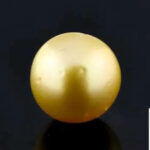 Golden South Sea Pearl (Moti) 11.95 Carat (13.14 Ratti)