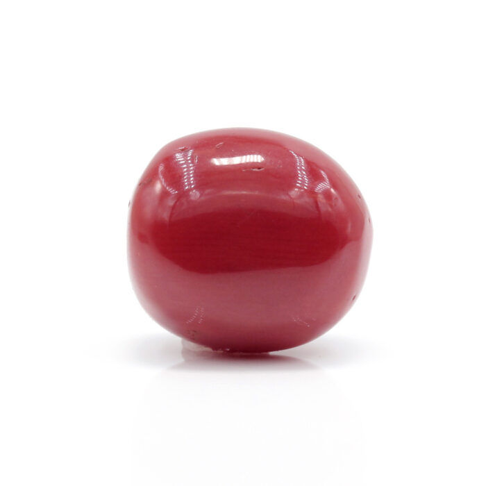 Red Coral 7.90 Carat (Moonga 8.69 Ratti) - Image 3