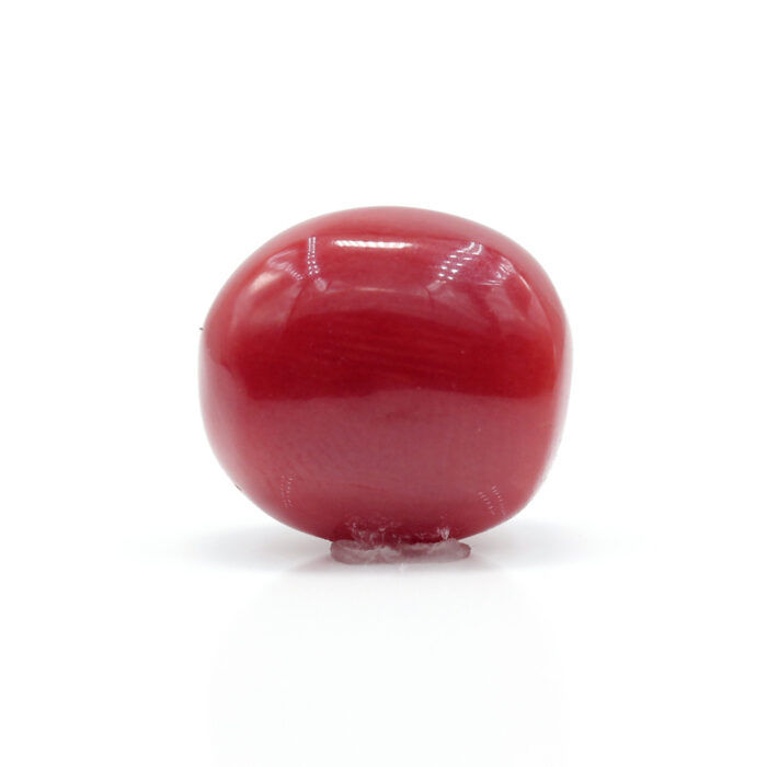 Red Coral 7.90 Carat (Moonga 8.69 Ratti) - Image 5