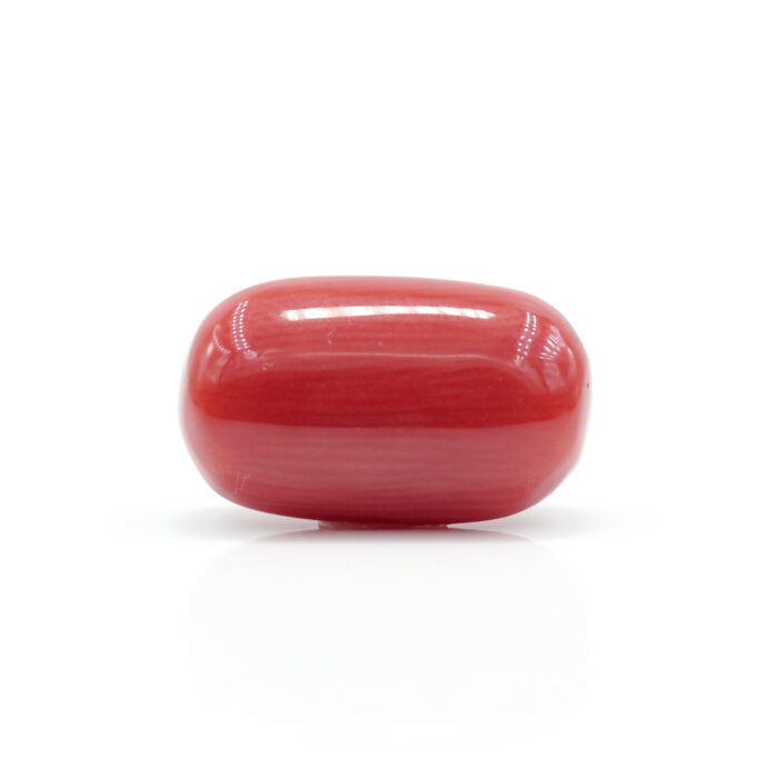 Red Coral 7.66 Carat (Moonga 8.43 Ratti) - Image 3