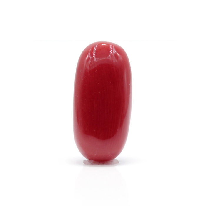 GACL271 (1) Red Coral 7.85 Carat (Moonga 8.64 Ratti) - Image 1