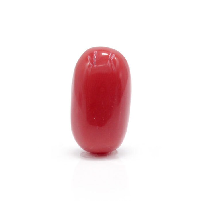 GACL273 (1) Red Coral 7.45 Carat (Moonga 8.20 Ratti - Image 1