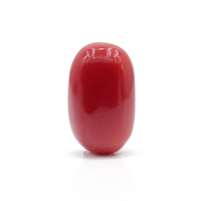 GACL276 (1) Red Coral 8.23 Carat (Moonga 9.05 Ratti - Image 1