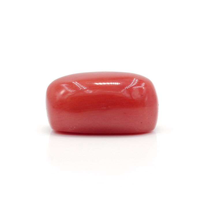Red Coral 7.89 Carat (Moonga 8.68 Ratti - Image 4