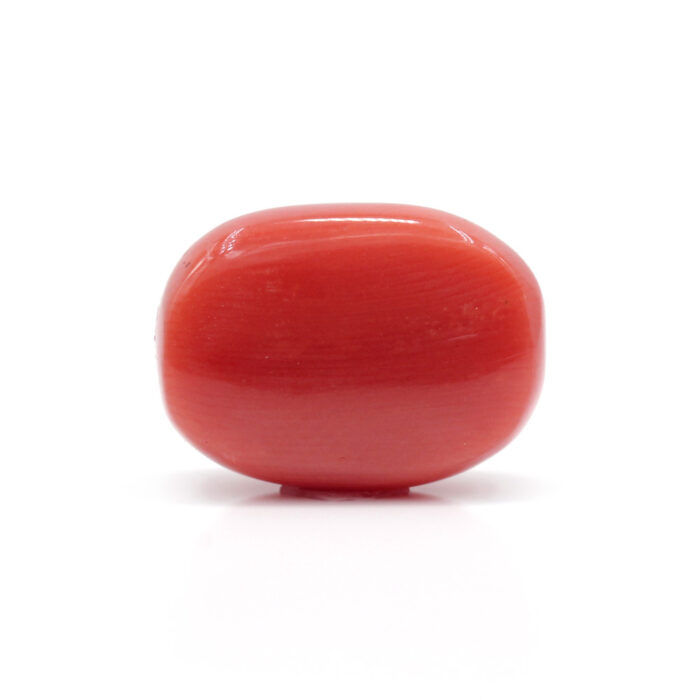 GACL283 (2) Red Coral 10.27 Carat (Moonga 11.30 Ratti - Image 3