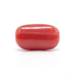 Red Coral 11.82 Carat (Moonga 13.00 Ratti - Image 3