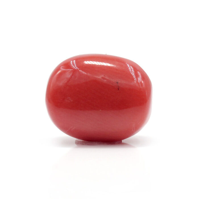 GACL285 (2) Red Coral 7.99 Carat (Moonga 8.79 Ratti - Image 3