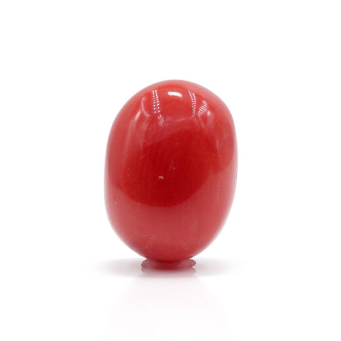 GACL289 (1) Red Coral 7.02 Carat (Moonga 7.72 Ratti) - Image 1