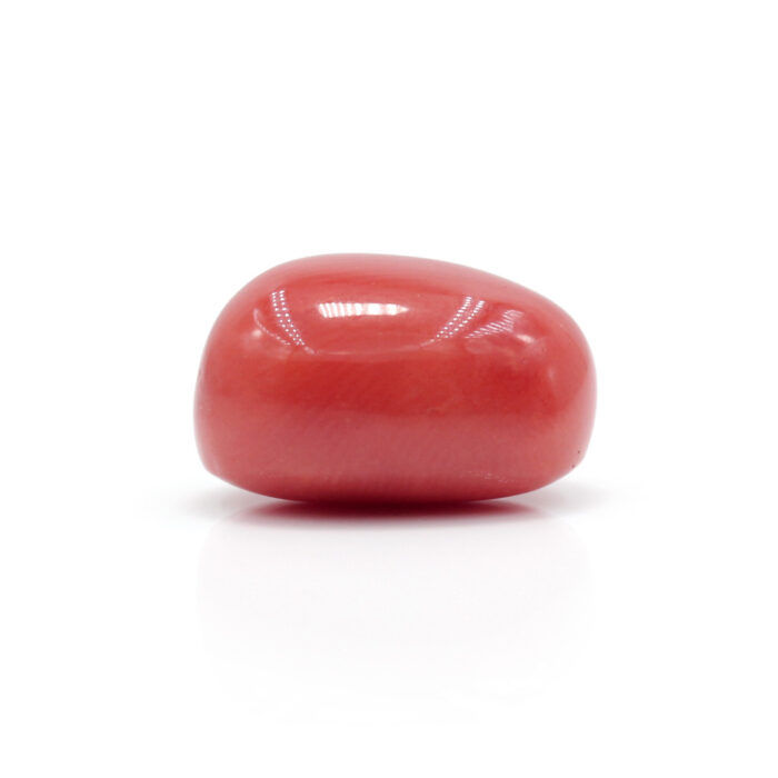 GACL289 (3) Red Coral 7.02 Carat (Moonga 7.72 Ratti) - Image 4