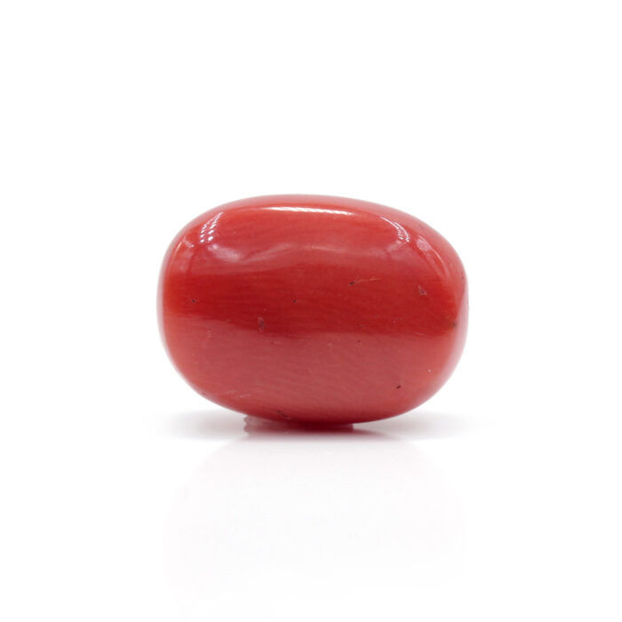 GACL290 (2) Red Coral 8.06 Carat (Moonga 8.87 Ratti) - Image 3