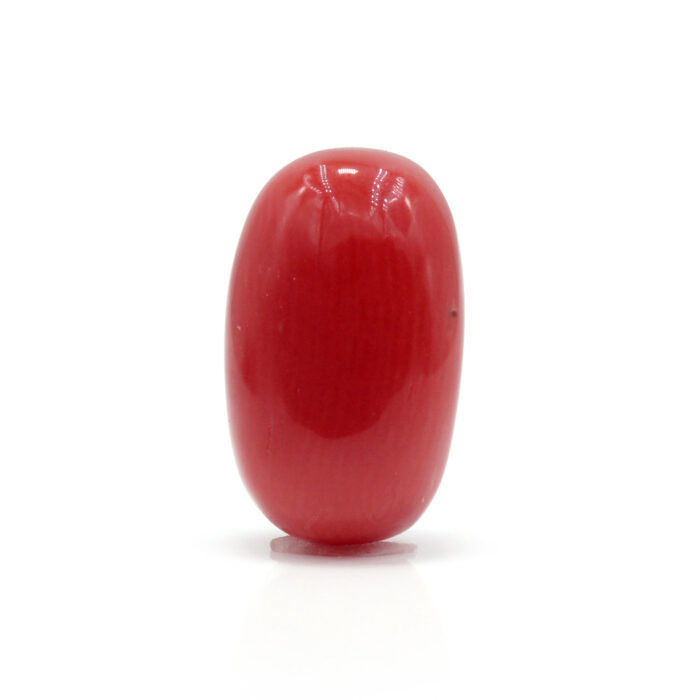 Red Coral 7.81 Carat (Moonga 8.59 Ratti) - Image 1