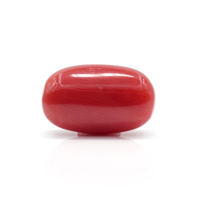Red Coral 7.81 Carat (Moonga 8.59 Ratti) - Image 3