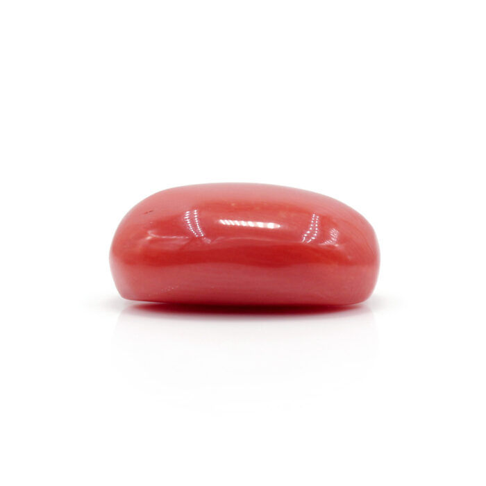 Red Coral 7.49 Carat (Moonga 8.24 Ratti) - Image 4