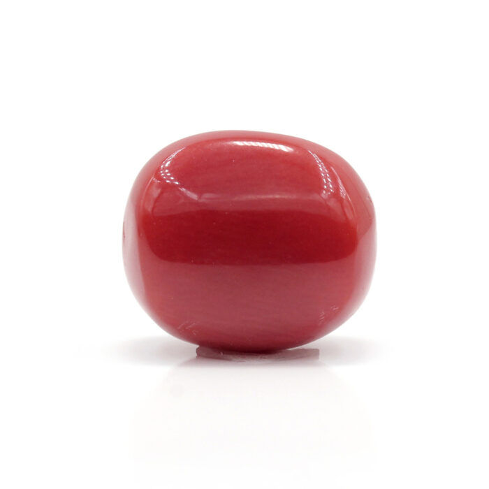 Red Coral 8.71 Carat (Moonga 9.58 Ratti) - Image 3
