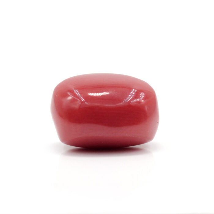 Red Coral 8.71 Carat (Moonga 9.58 Ratti) - Image 4