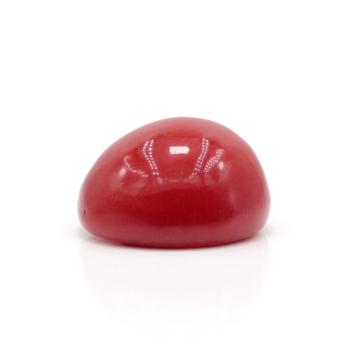GACL297 (3) Red Coral 7.26 Carat (Moonga 8 Ratti) - Image 4