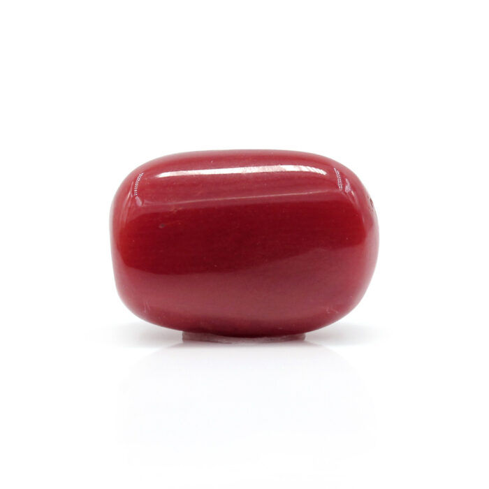 Red Coral 7.28 Carat (Moonga 8.01 Ratti) - Image 3