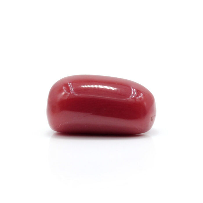 Red Coral 7.28 Carat (Moonga 8.01 Ratti) - Image 4