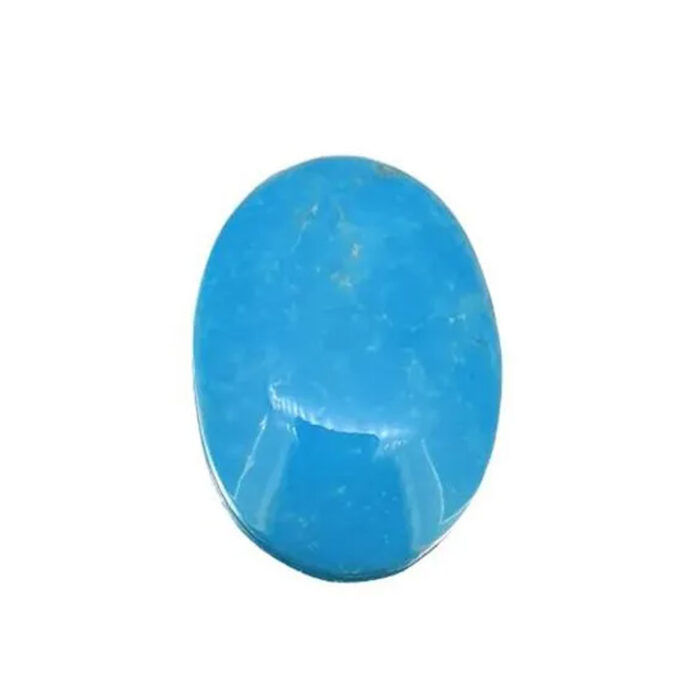 TR30 Turquoise (Firoza) 15.77 Carat (17.52 Ratti) - Image 1