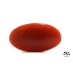 Red Coral 6.55 Carat (7.2 Ratti) - Image 4