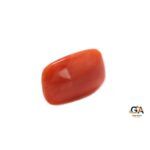 Red Coral 6.48 Carat (7.12 Ratti) - Image 2