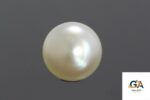 South Sea Pearl (Moti) 7.47Carat (8.21 Ratti) - Image 4