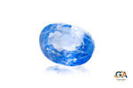 Blue Sapphire 7.02 Carat (7.61 Ratti) - Image 3