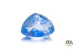 Blue Sapphire 7.02 Carat (7.61 Ratti) - Image 4