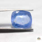 Blue Sapphire 7.90 Carat (8.69 Ratti) - Image 3