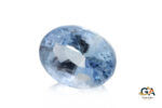 Blue Sapphire 8.21 Carat (9.12 Ratti) - Image 4