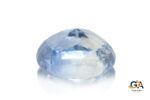 Blue Sapphire 8.21 Carat (9.12 Ratti) - Image 5